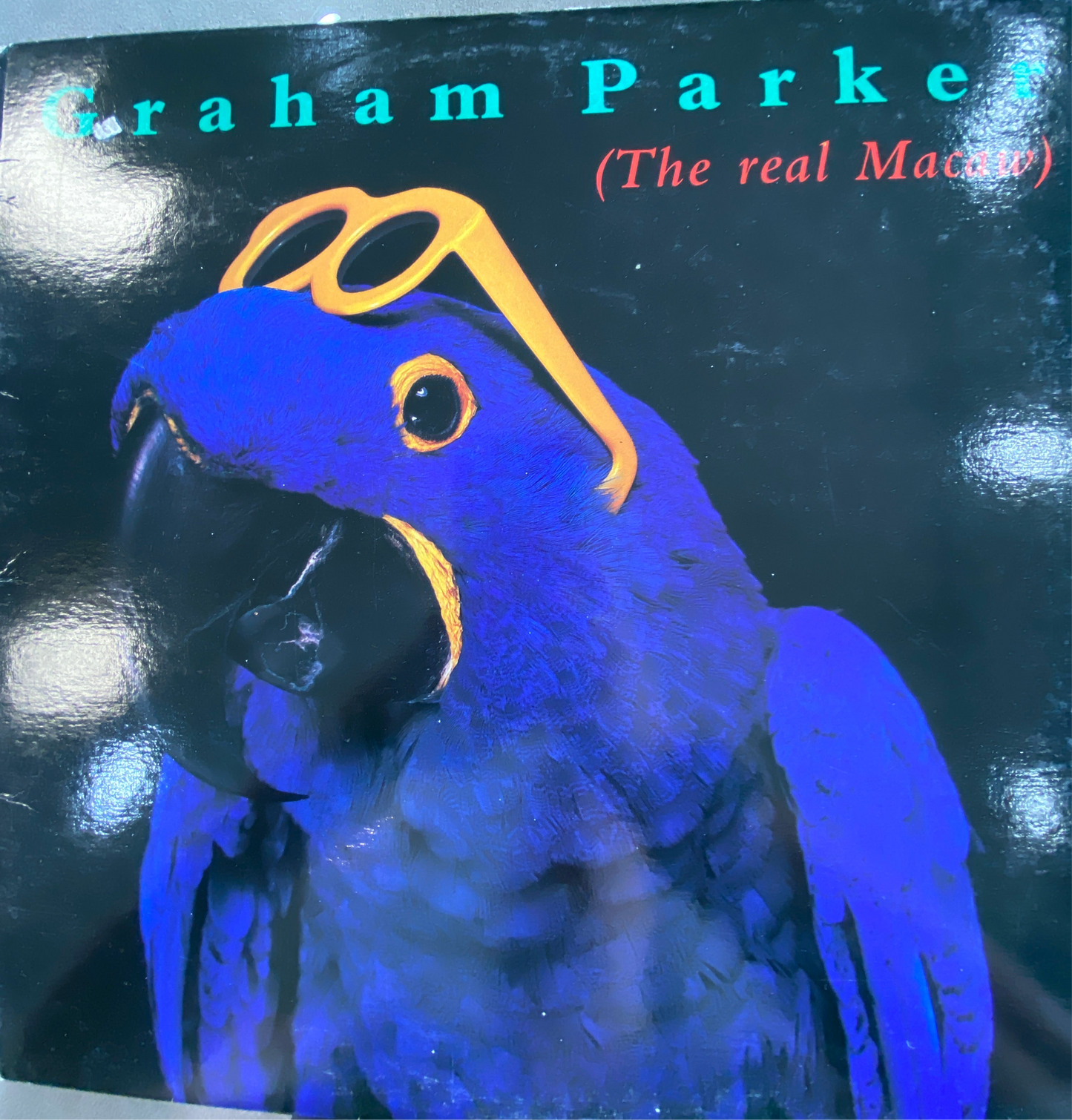 Graham Parker — The Real Macaw