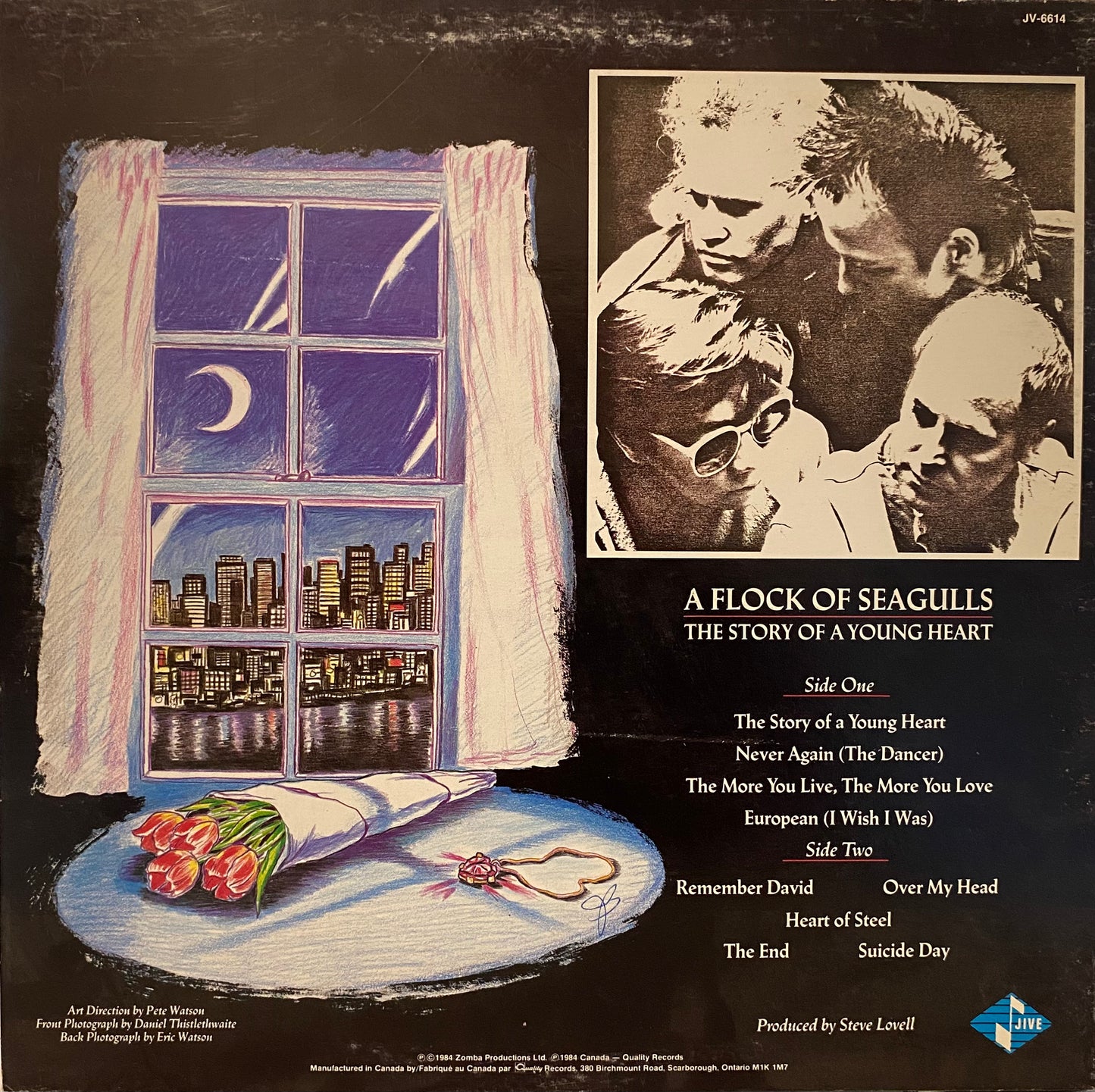 A Flock Of Seagulls — The Story Of A Young Heart