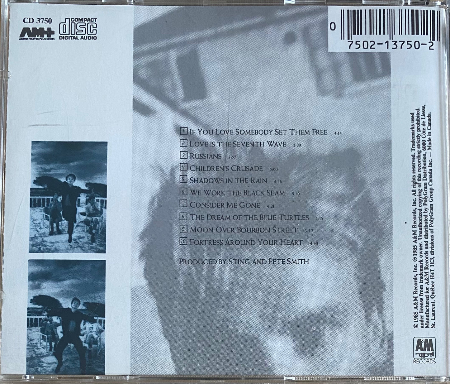 Sting — The Dream Of The Blue Turtles