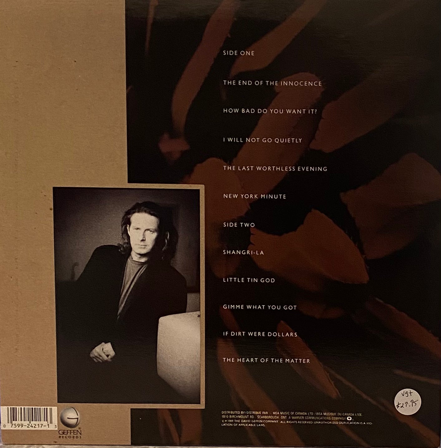 Don Henley — The End Of The Innocence