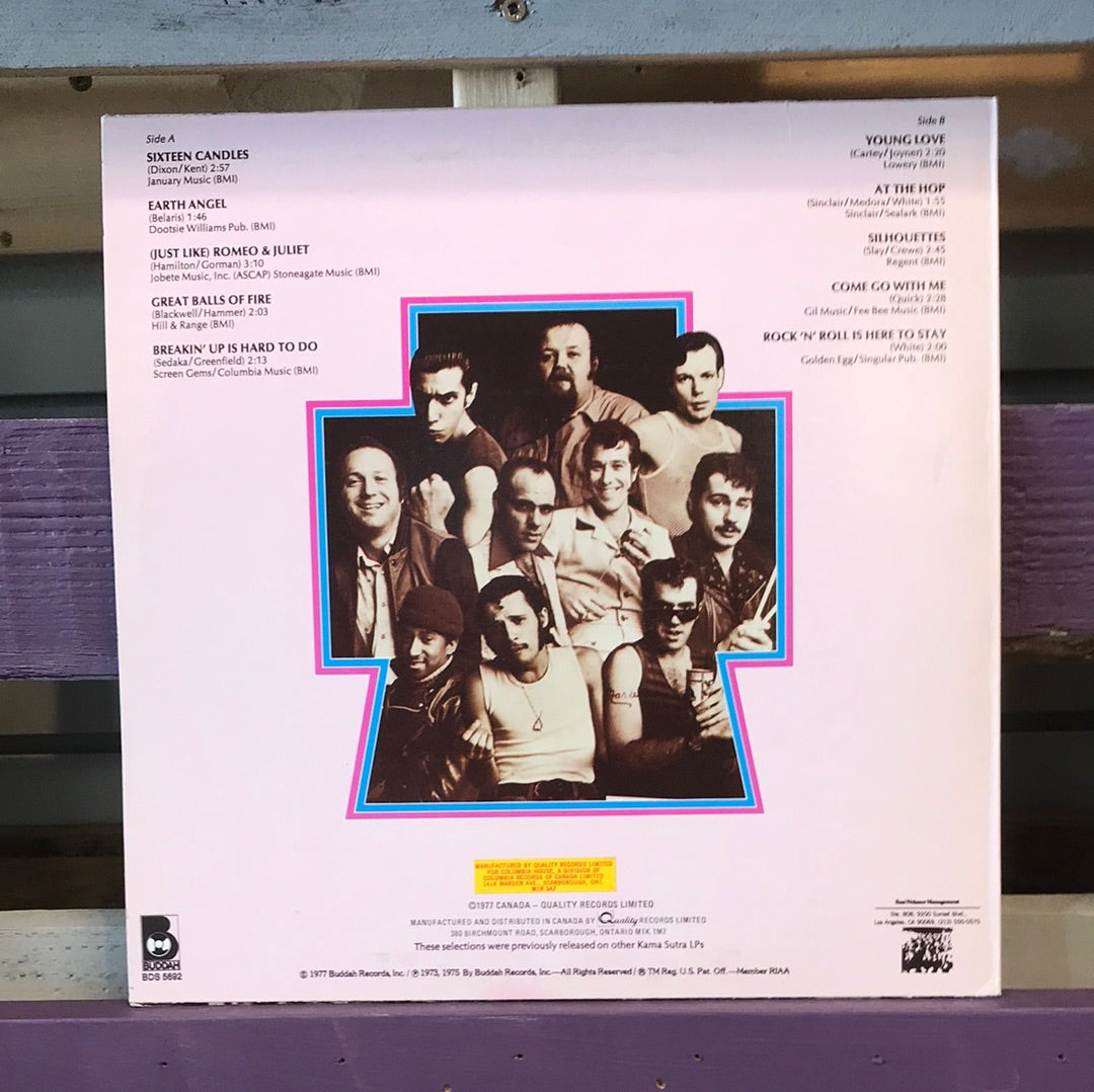 - Sha Na Na. Sha Na Na Is Here To Stay. - Vinyl Record -