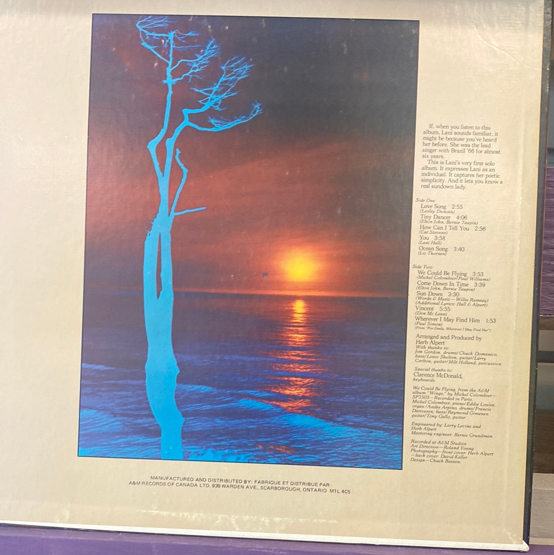 - Land Hall - Sun Down Lady - Vinyl Record -