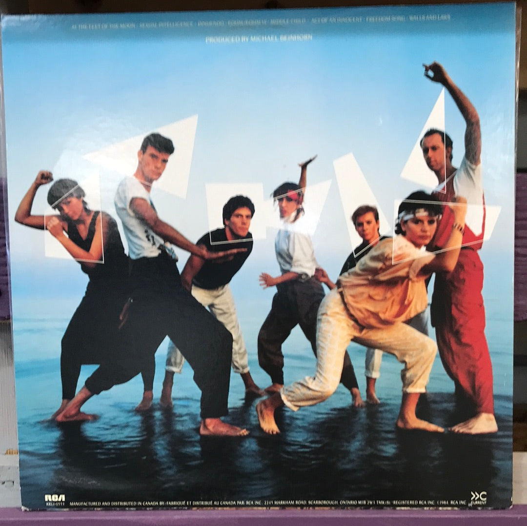 - The Parachute Club - At The Feet of the Moon - Vinyl Record -