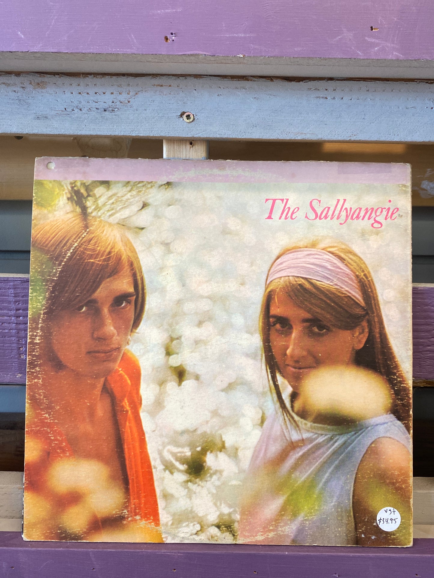 The Sallyangie — Children Of The Sun