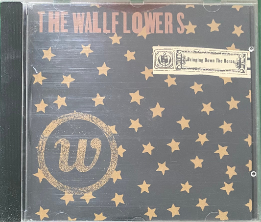 The Wallflowers — Bring Down The Horse
