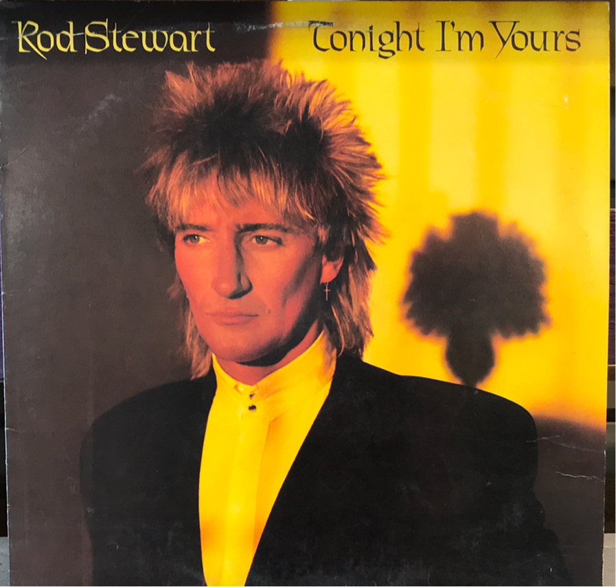 Rod Stewart - Tonight I’m Yours