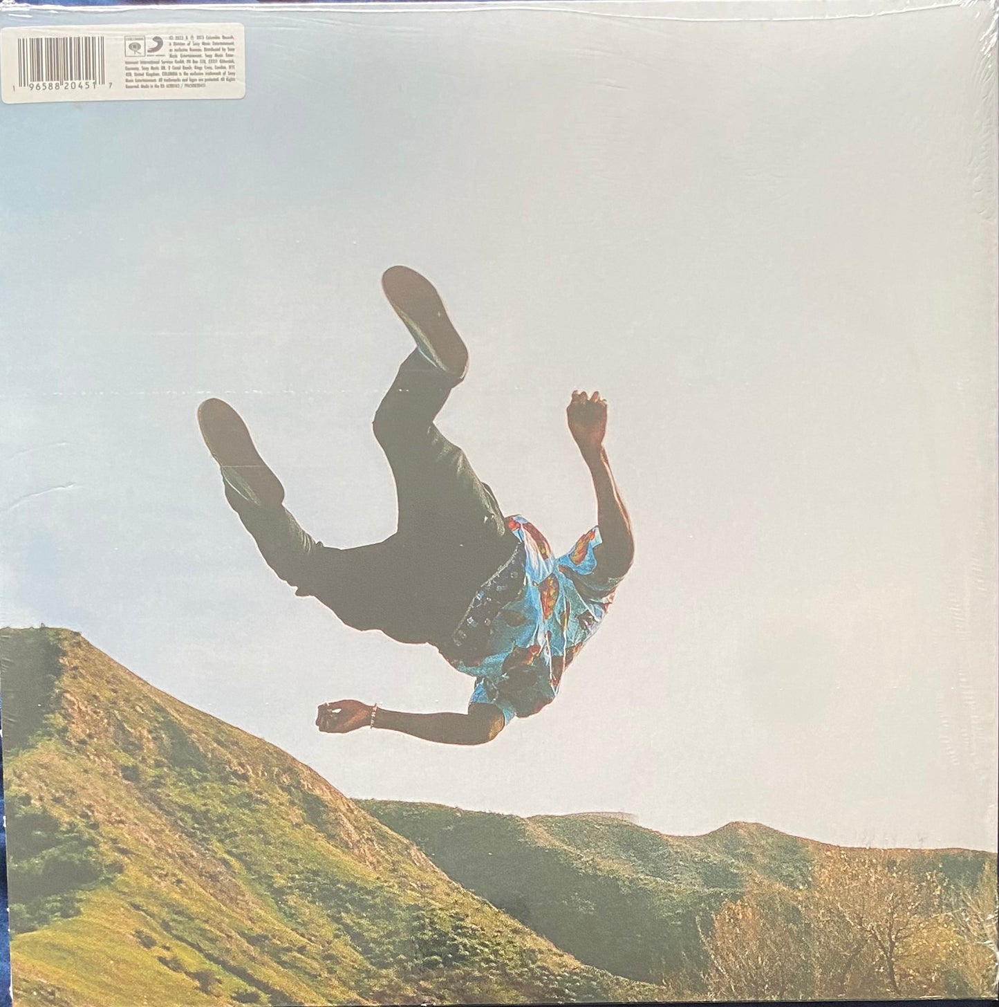 Tyler, The Creator — Wolf