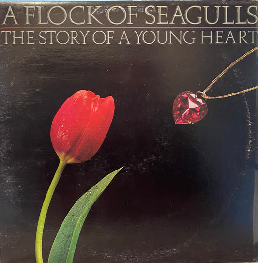 A Flock Of Seagulls — The Story Of A Young Heart
