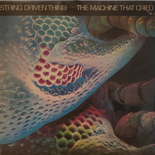 String Driven Thing — The Machine That Cried