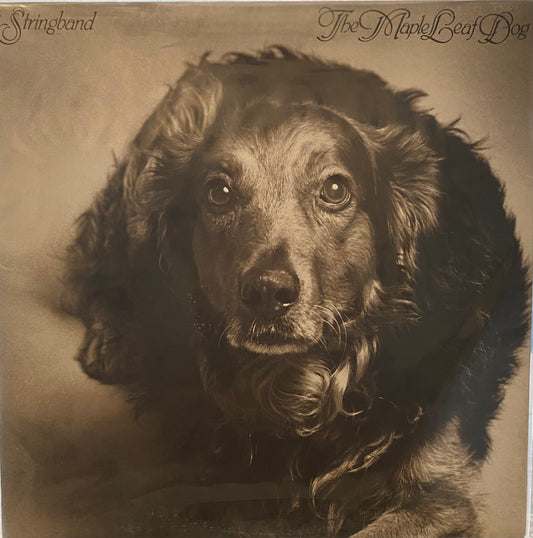 Stringband — The Maple Leaf Dog