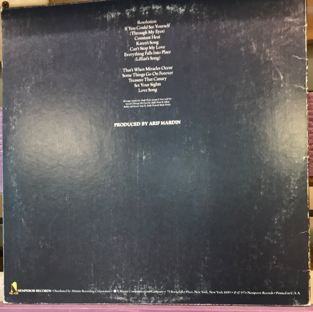 Andy Pratt - Resolution - Vinyl Record - 33
