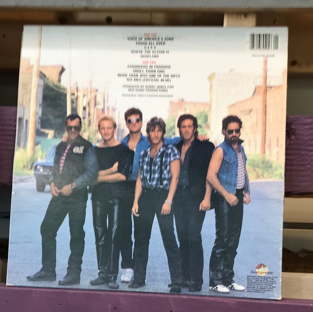 John Cafferty And The Beaver Brown Band - Vinyl Record - 33